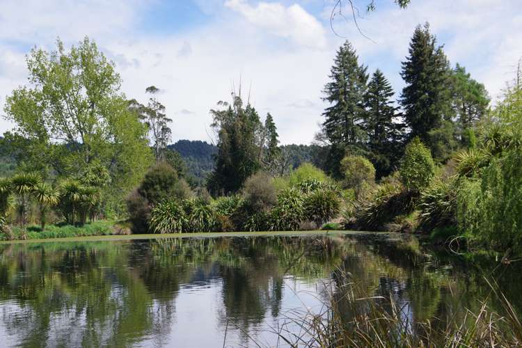 431 Arataki Road Mangakino_20