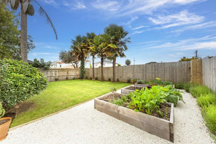 1c Foch Avenue Mount Roskill_16