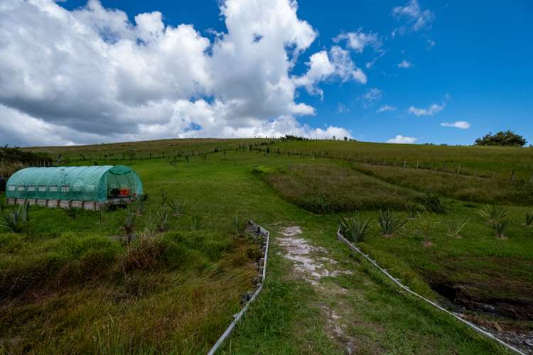 37 Okahu Downs Drive Kaitaia_26