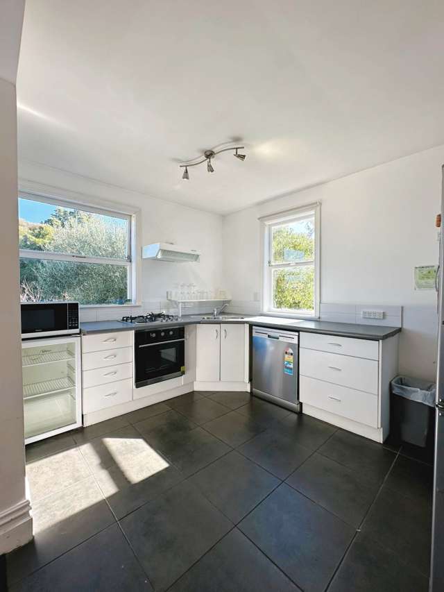 23 Commercial Road Grey Lynn_4