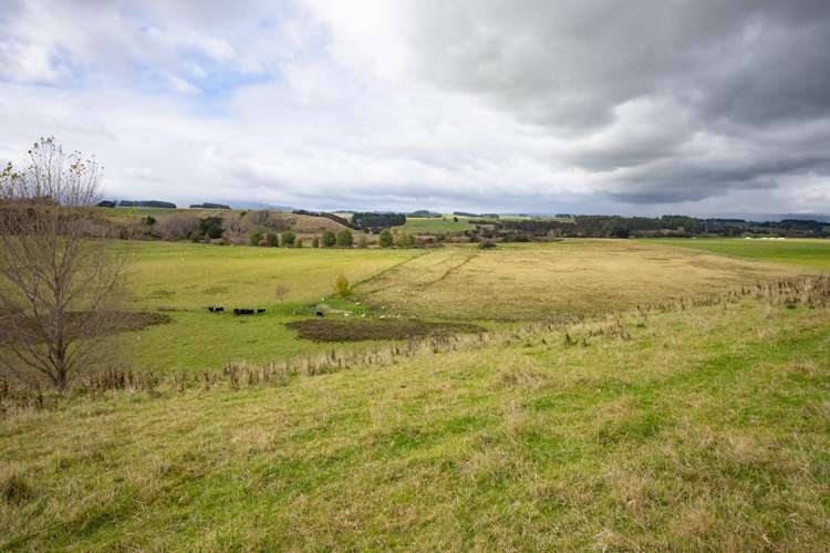 620 Taonui Road Colyton_2