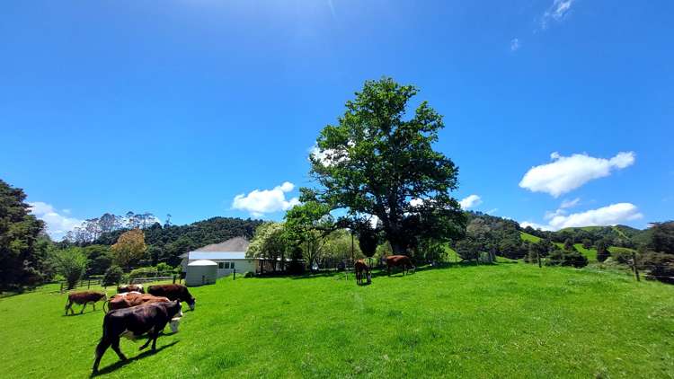 106 Mcbreen Road Hikurangi_27