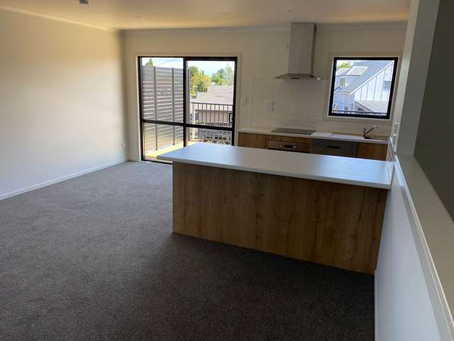 6/63 Primrose Street Frankton_1