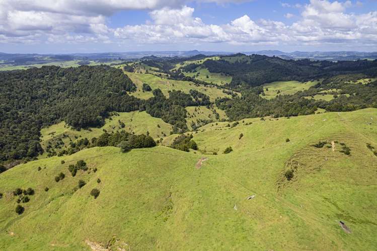 632 Marlow Road Maromaku_25