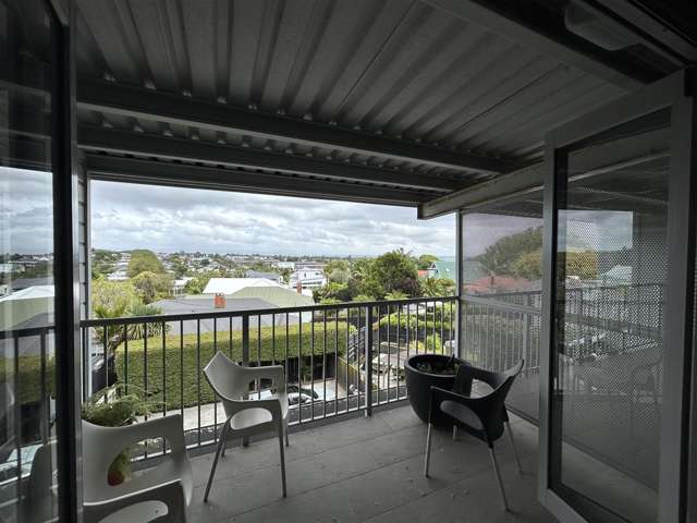 166 Richmond Road Grey Lynn_2