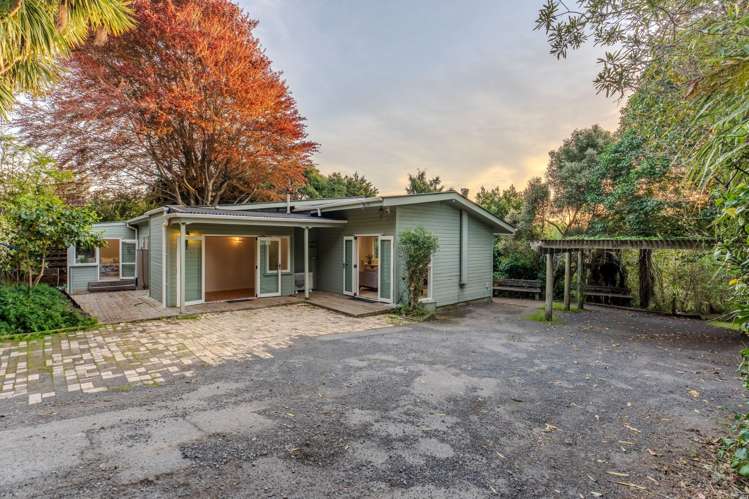 17 MacFarlane Street Hamilton East_17