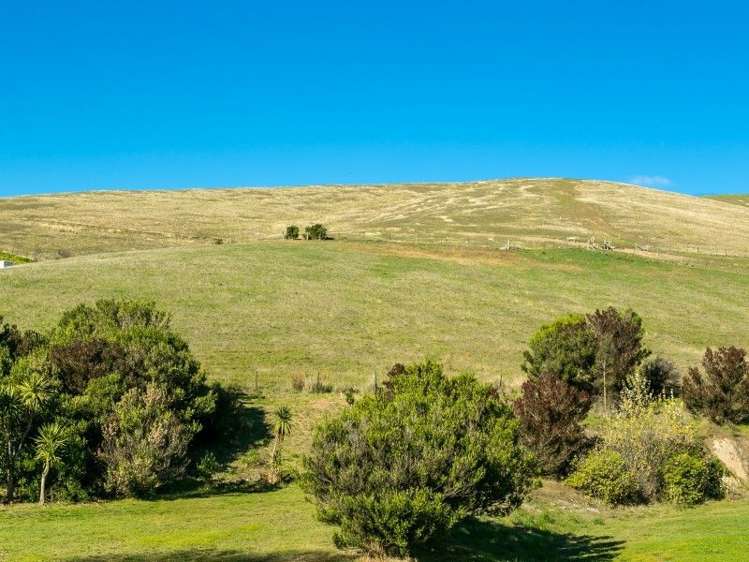 30a Elisha Drive Witherlea_9