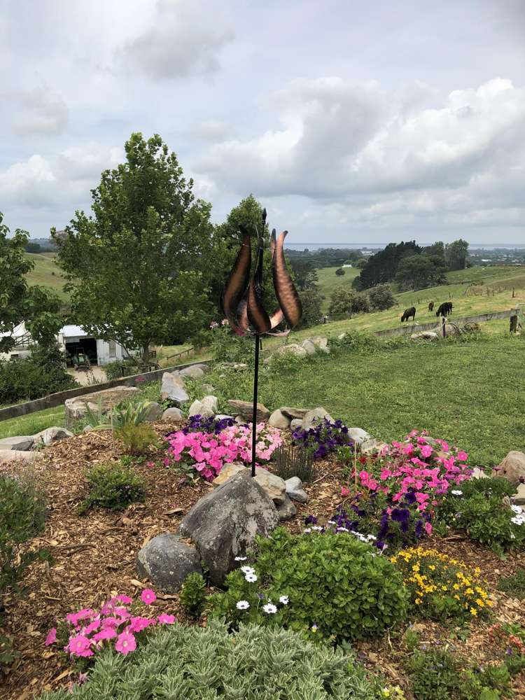 244 Lindemann Road Tahawai_34