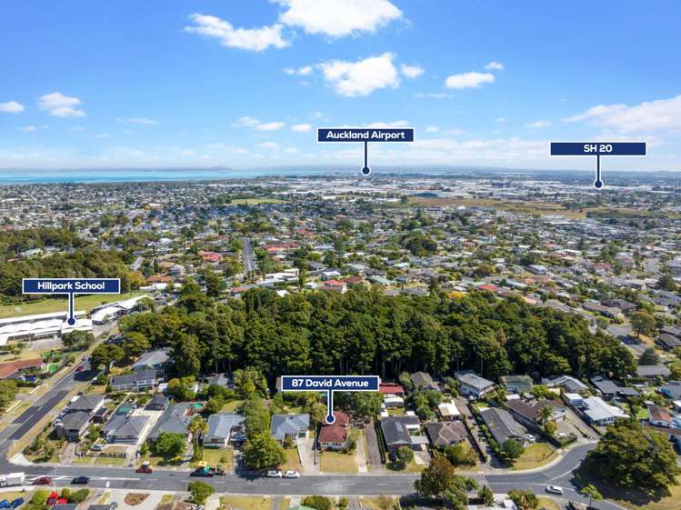87 David Avenue Hillpark_19