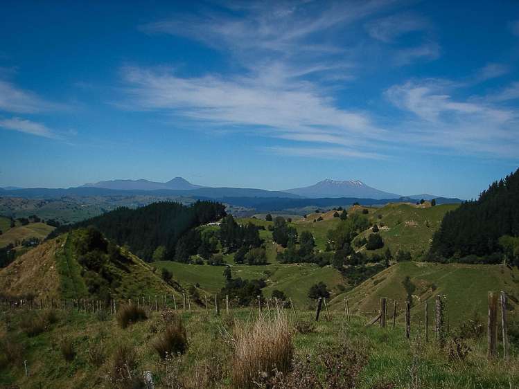 82 Carter Road Taumarunui_18