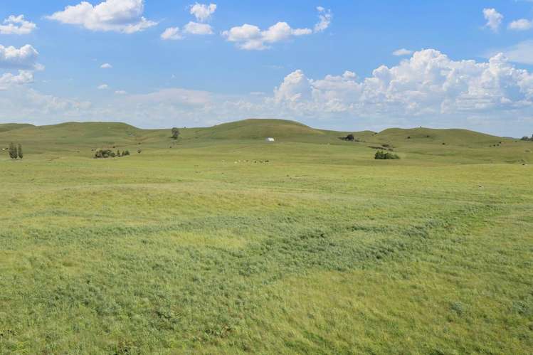 1781 Miranda Road Mangatangi_29