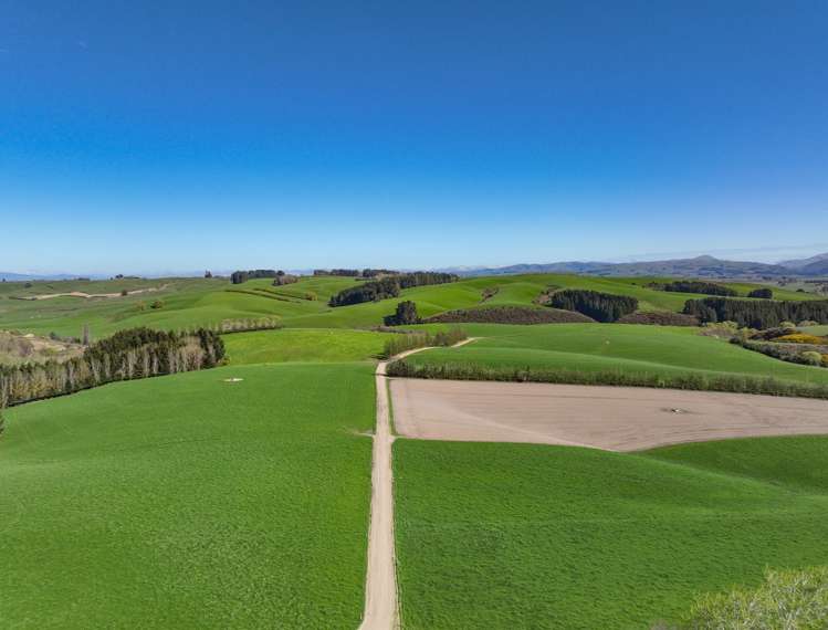 168 Duncan Road North Tapanui_14