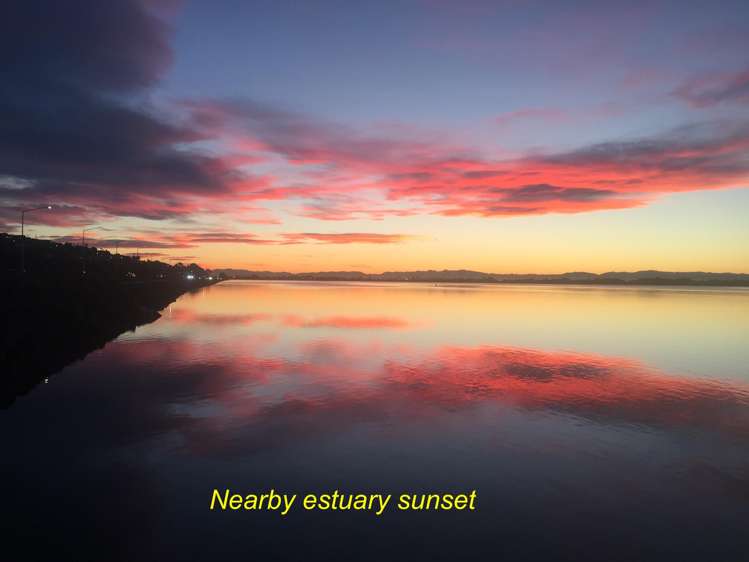 82 Mccormacks Bay Road Mount Pleasant_17