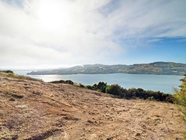 65 Kakapo Street Saint Leonards_4