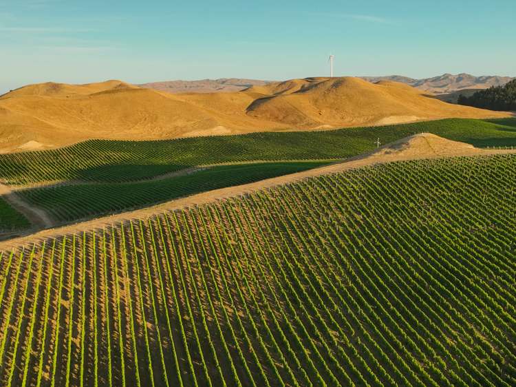 217 Caseys Road Seddon_8