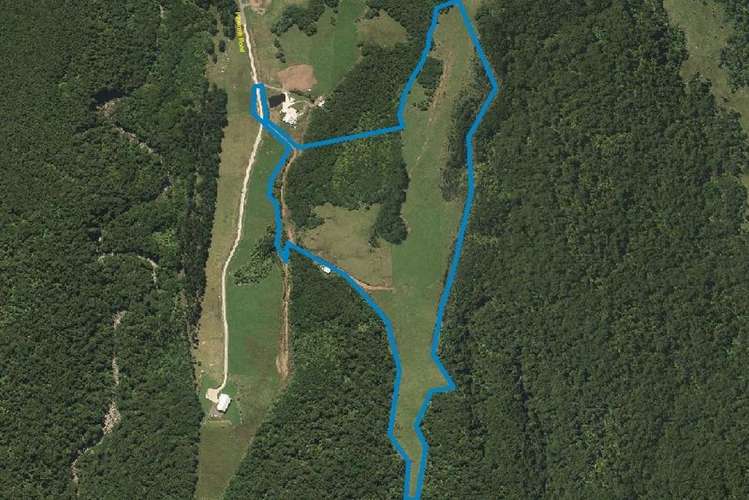 1113 Plymouth Road Koru_11