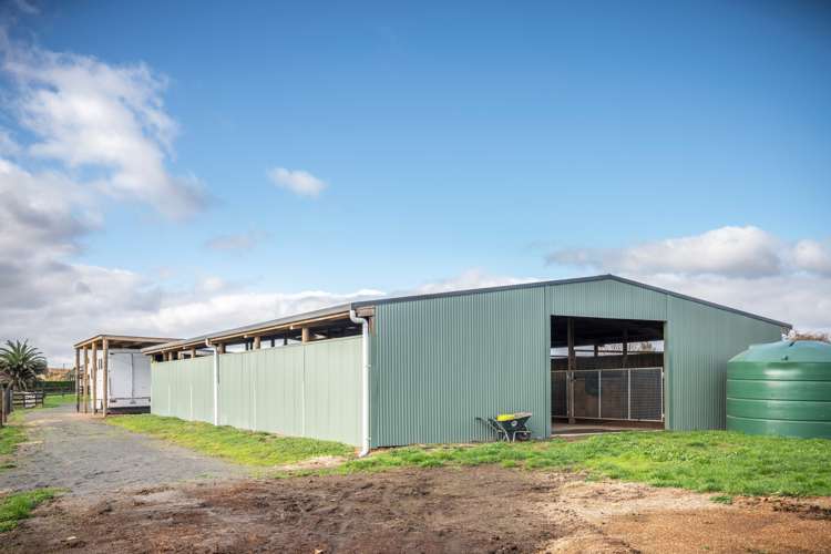 2/101 Racecourse Road Cambridge_15