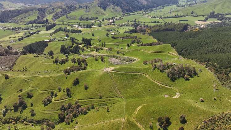 162 Upper Stanley Brook Stanley Brook_17