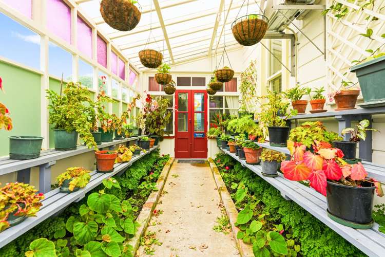 14 Hillside Terrace Saint Johns Hill_10