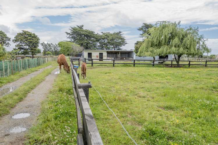 177 Mako Mako Road Levin_14