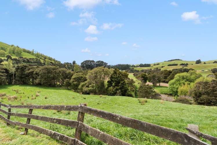 307 Ruakokoputuna Road Ruakokoputuna_20