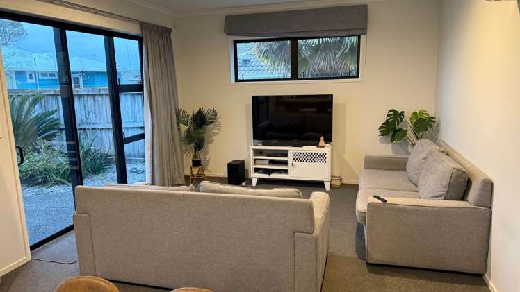14A Vine Avenue Maungatapu_5