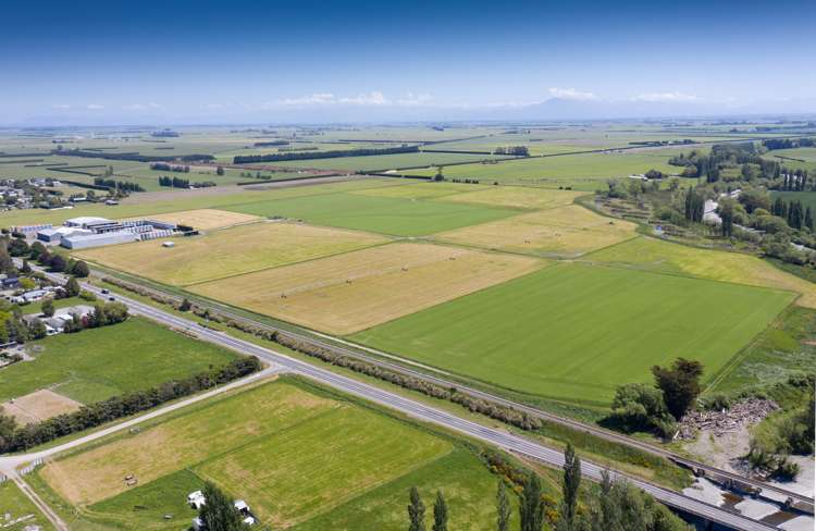 Framptons Road Hinds_9