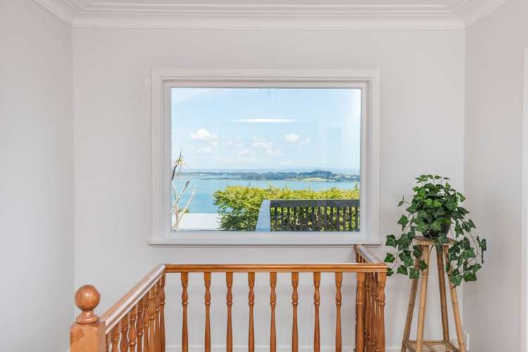 334 Hillsborough Road Hillsborough_16