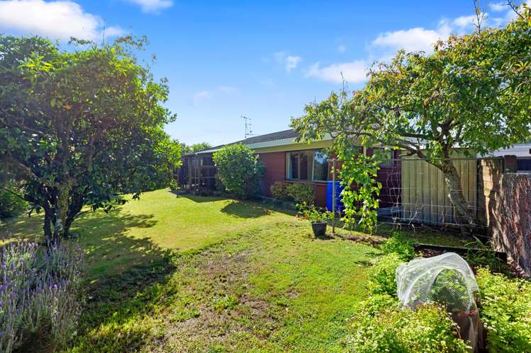 40B Waitui Grove Mount Maunganui_19