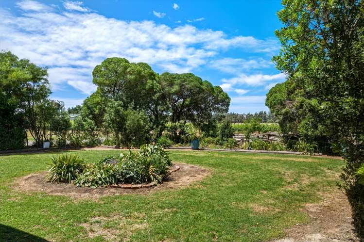 686 Dillons Point Road Blenheim_24