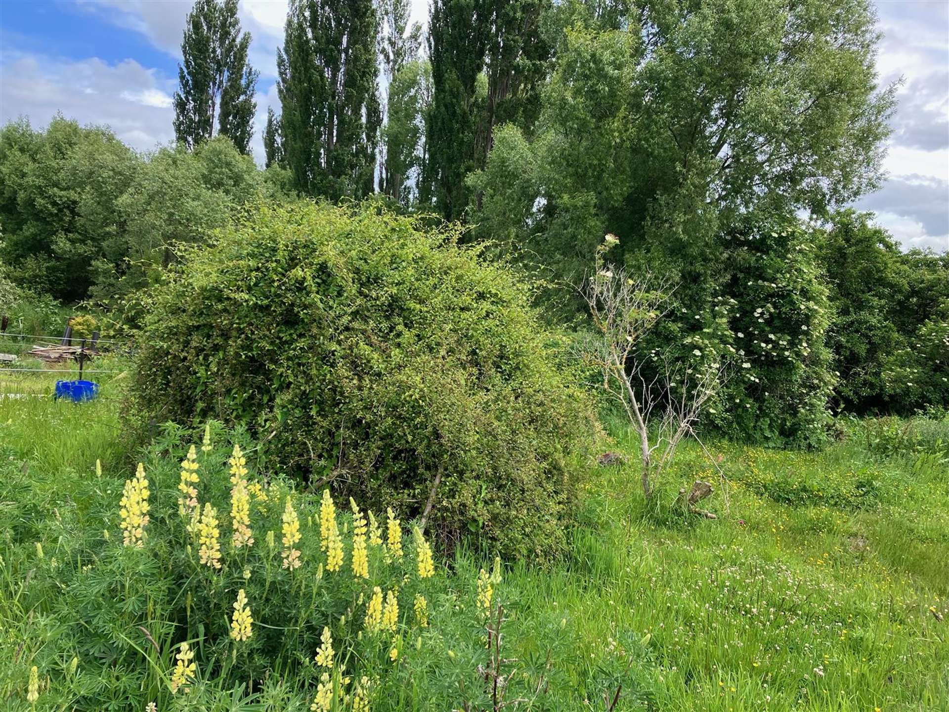 41 Eddystone Street Kaitangata_0