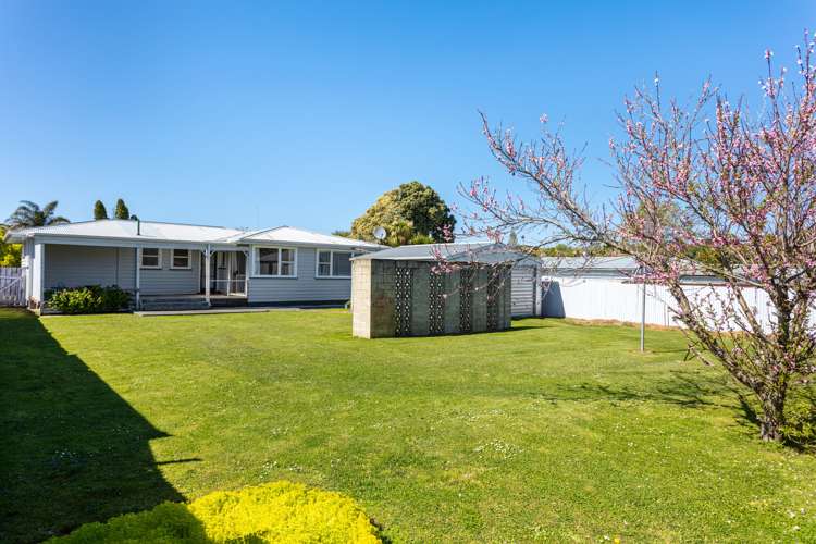 59 Wildish Street Outer Kaiti_6