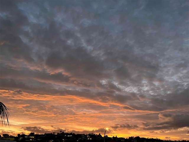 210/17 Link Crescent Stanmore Bay_3