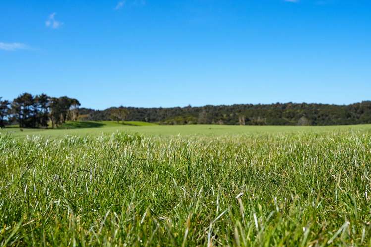696 Jacks Hill Road Waimahaka_6