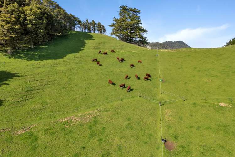 387 O'Carroll Road Maungakaramea_27