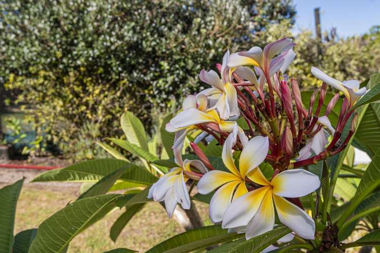 145 Church Street Onerahi_28