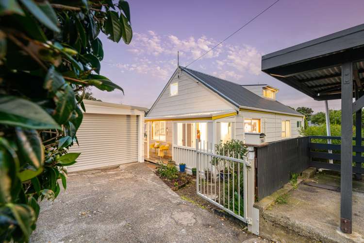 104 Tauhinu Road Miramar_16