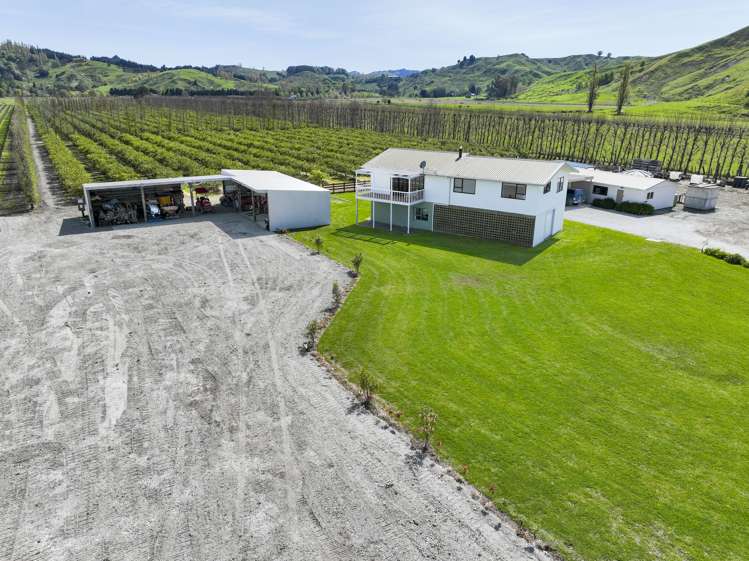 123 Bond Road Ormond_6