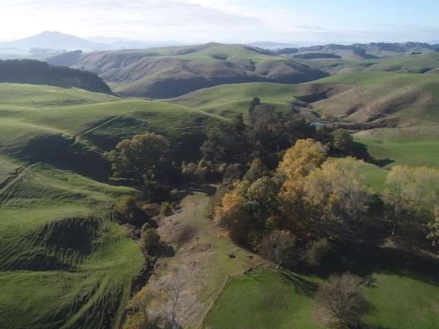 100 Hikurangi Road Otorohanga_4