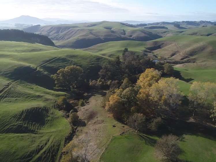 100 Hikurangi Road Otorohanga_4