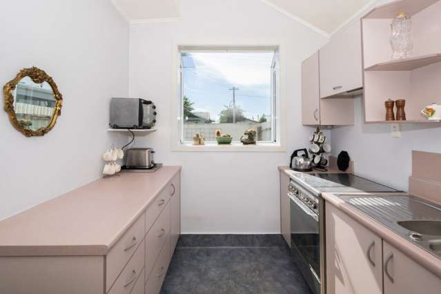 6a Elzy Street Blenheim Central_1