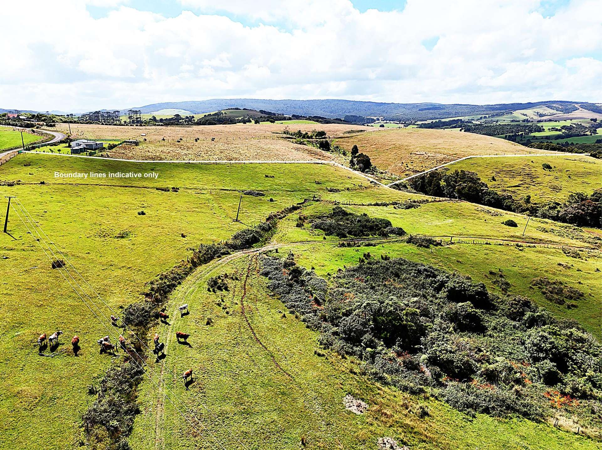 870 Marlborough Road Dargaville Surrounds_0