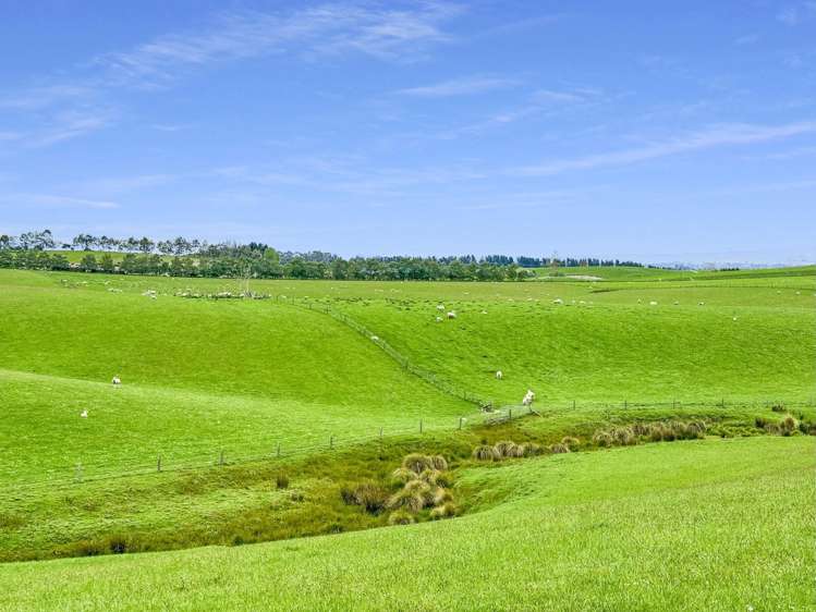 20 Carruthers Road Ashley Downs_17