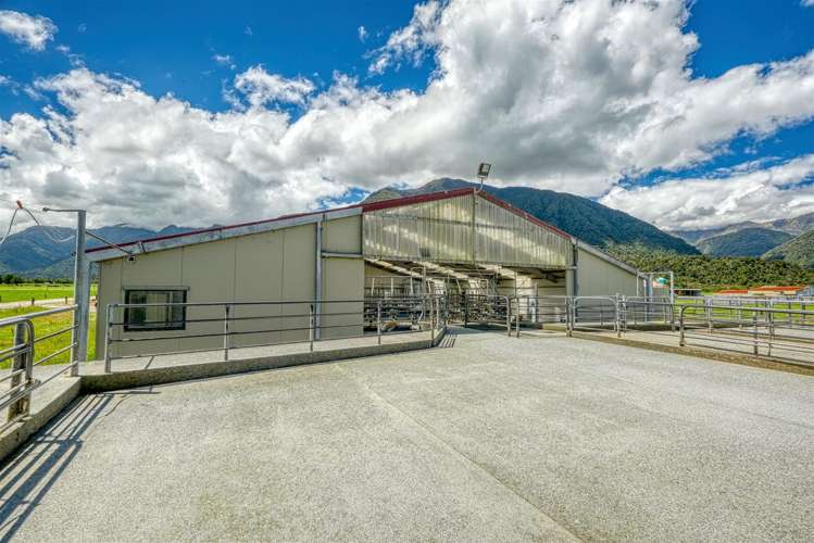 492 Haast Highway Fox Glacier_10