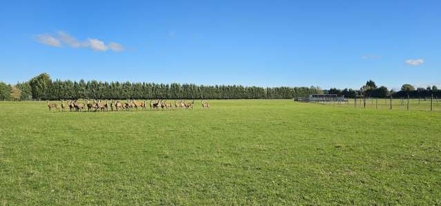 61 Nine Mile Road Riversdale_1