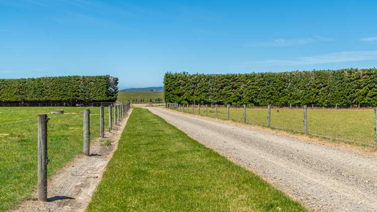 260 Hayland Road Okuku_17