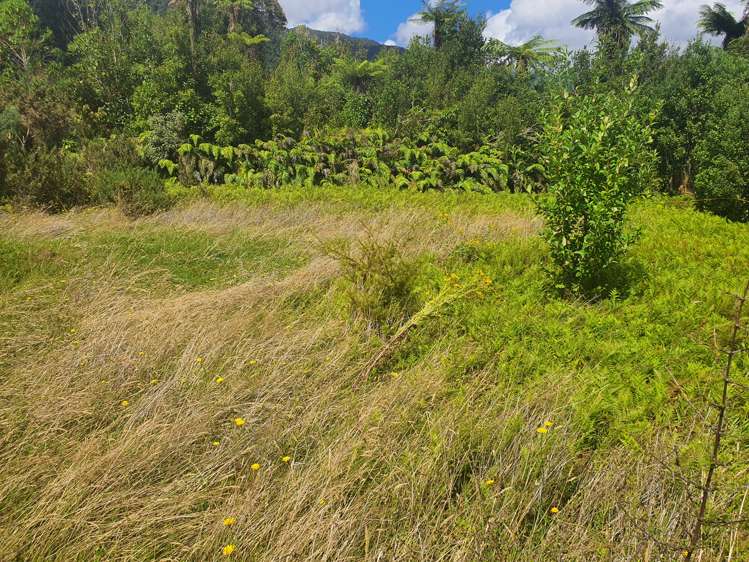 6 Mcfetrick Place Franz Josef Glacier_5