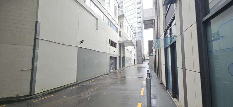 S/7 Feltex Lane Te Aro_6