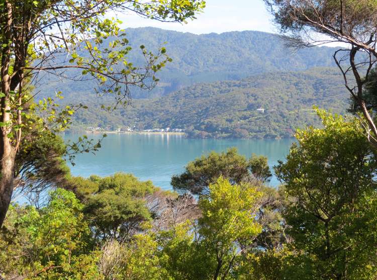 614 Wyuna Bay Road Coromandel_3