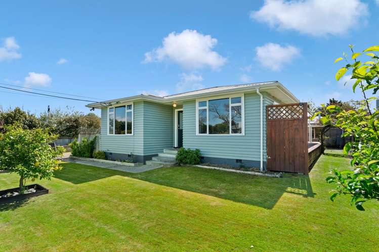 52 East Street Greytown_21